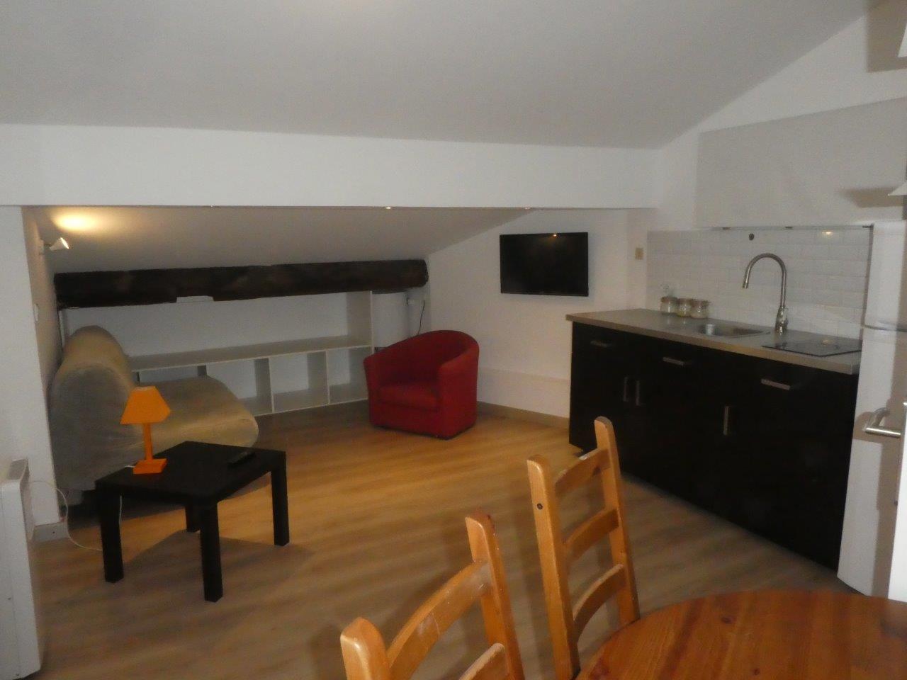 appartement 1 pièces - LYON